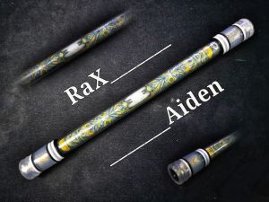 RaX Project: Aiden